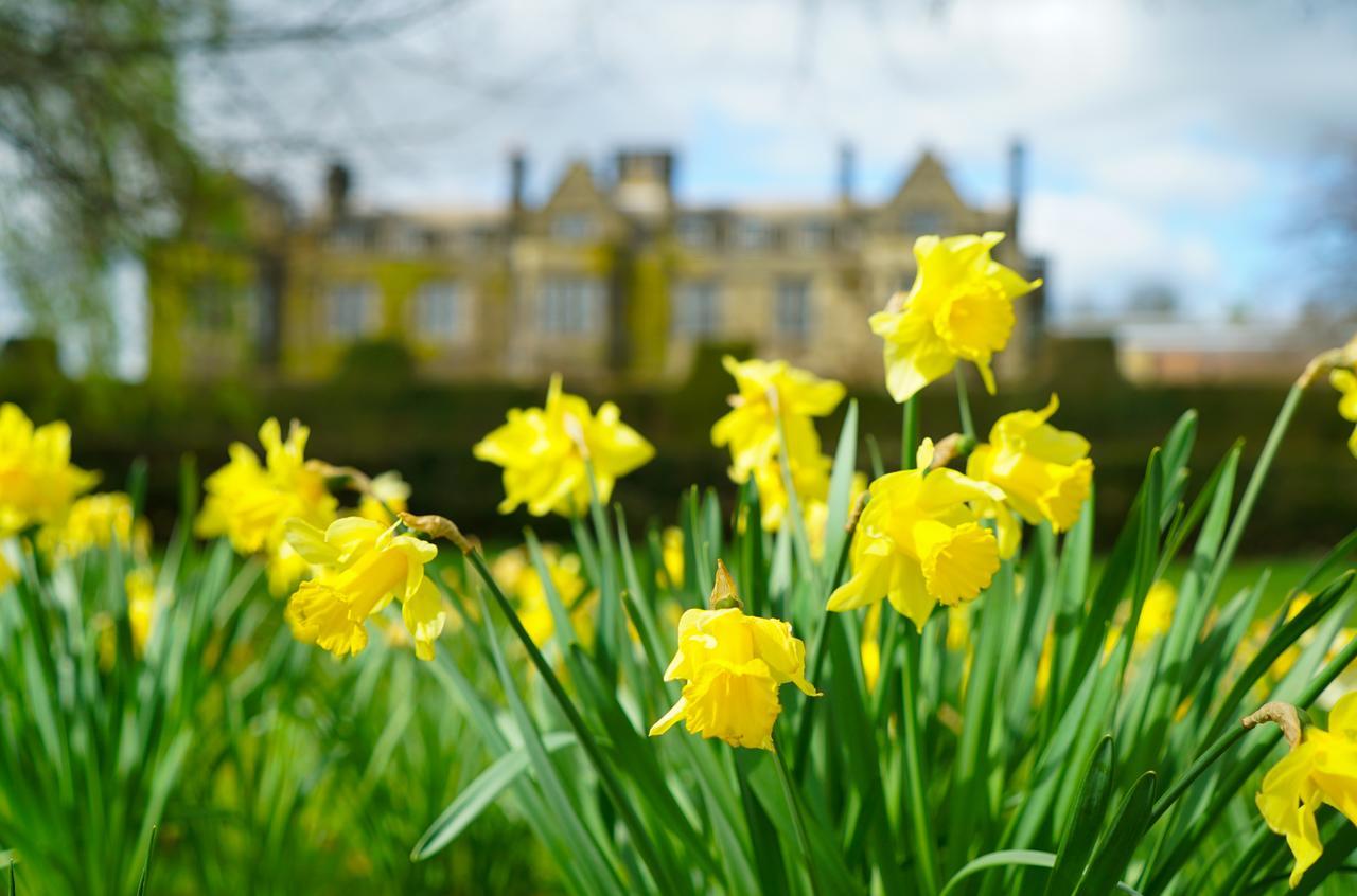 Gisborough Hall Hotel Guisborough Bagian luar foto